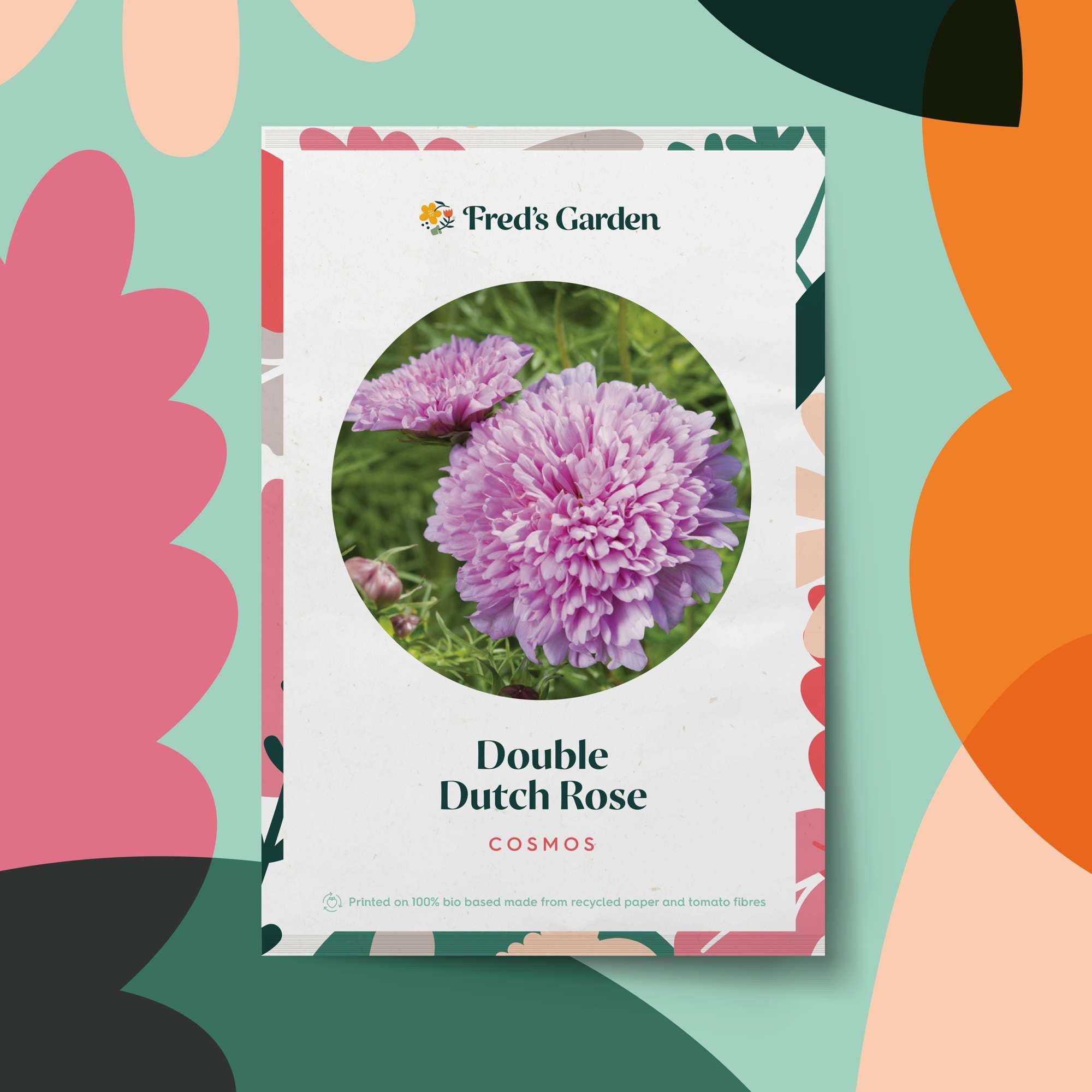 Rosenskära 'Double Dutch Rose' (frö)